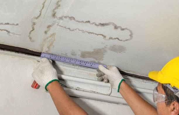 Reliable Water Removal contractor in Richmond, MI by Water Damage Irwin